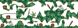 Full border randomly-generated png (11)