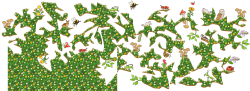 Doubled size island 7