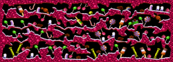 MapGEN_layers_cavern_1 Candy