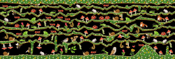 MapGEN_layers_cavern_4 Meadow