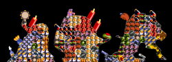 MapGEN_destwfw_25