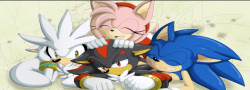 hedgehogs mole
