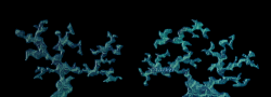 Staeker_2ndRoper