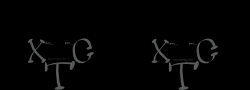 XTCxWingZproper2