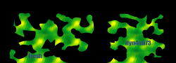 dyn4mi73_roperfortehleet