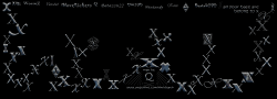 Q_Xshopper