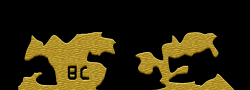 BC5