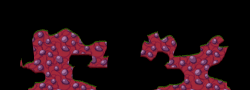 Dionaea4
