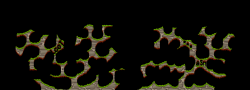 LeeTx03x