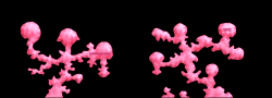 Markavian_Pink