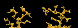 llaenimicllx01x