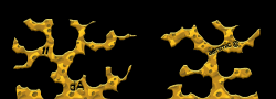 llaenimicllx11x