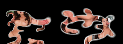 lookias_nhardcore
