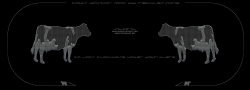 Pixel_Wascar_RecklessOne_Cows