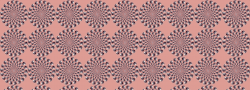 rotatingspirals