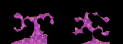 Xen0n16
