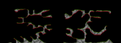 XenoN4
