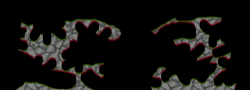 XenoN11