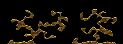 XenoN20