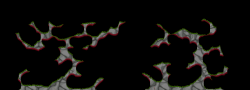 XenoN36