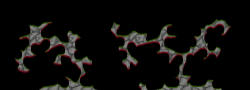 XenoN38