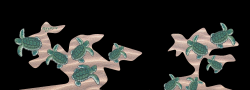 skyldpod_Turtle
