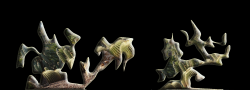 skyldpod_cactus
