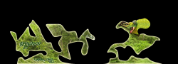 skyldpod_chameleon
