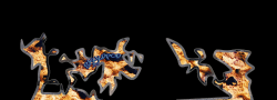 skyldpod_stone