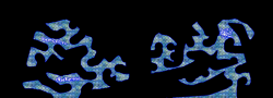 wormsGFX_okesforownless
