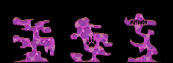 3xIsland2