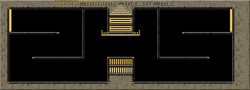 W2W n°1