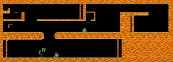 Cactuses