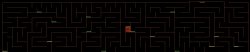 CheckPoint Race