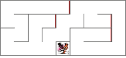 4F04 - Chaos