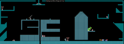 Underground Mario Shoppa