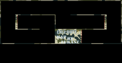 CoD2 WxW
