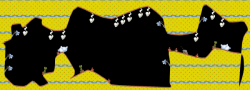 Domestic Cavern 1