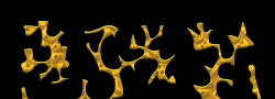 2010-08-13xwormsMabMap1