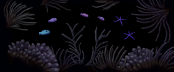 Blackest Reef