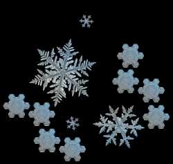 Worms Winter Wonderland
