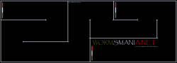 w3w_PRO_2_By_xWMxWormsBad