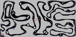 Sheep track #1
