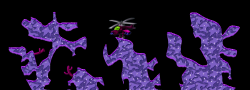 11 - Gulf of Spleen