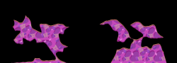 Kradie's Random Roper 12