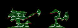 Kradie's Random Roper 16