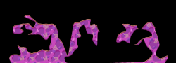 Kradie's Random Roper 20