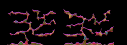 Kradie's Roper 9