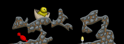 Kradie's Chick Roper 10