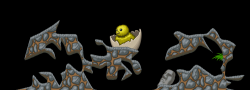 Kradie's Chick Roper 15